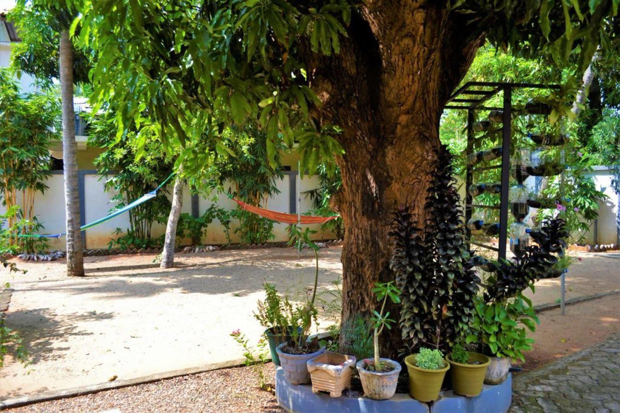 Dambulla City Hostel Bagian luar foto